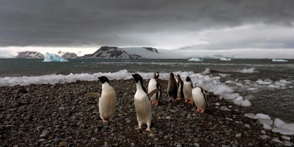 Even frozen Antarctica is being walloped by climate extremes, scientists find