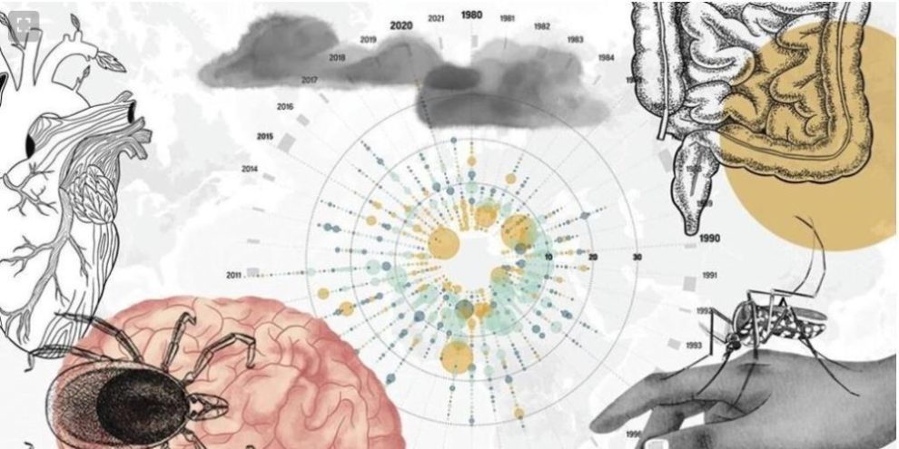 As the planet warms, scientists worry that cases of infectious diseases could spike