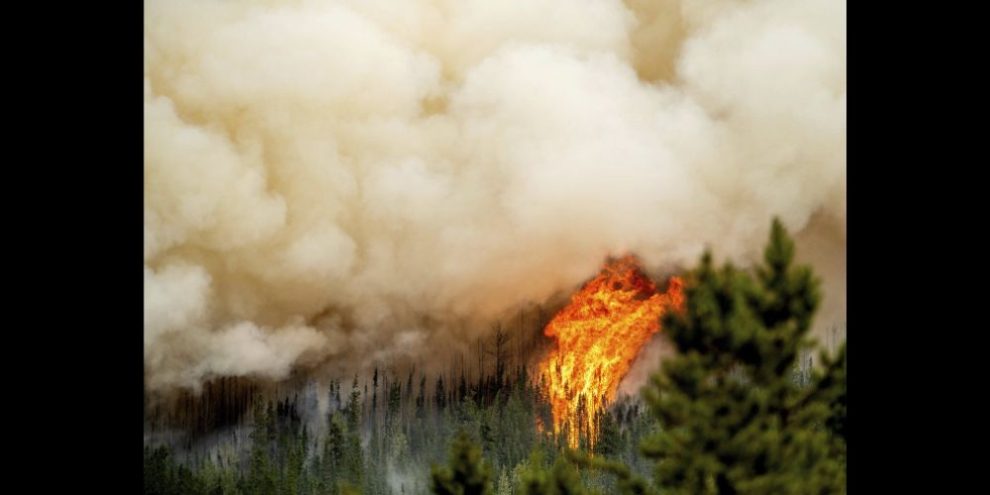 BC forest fires record burned land - CP