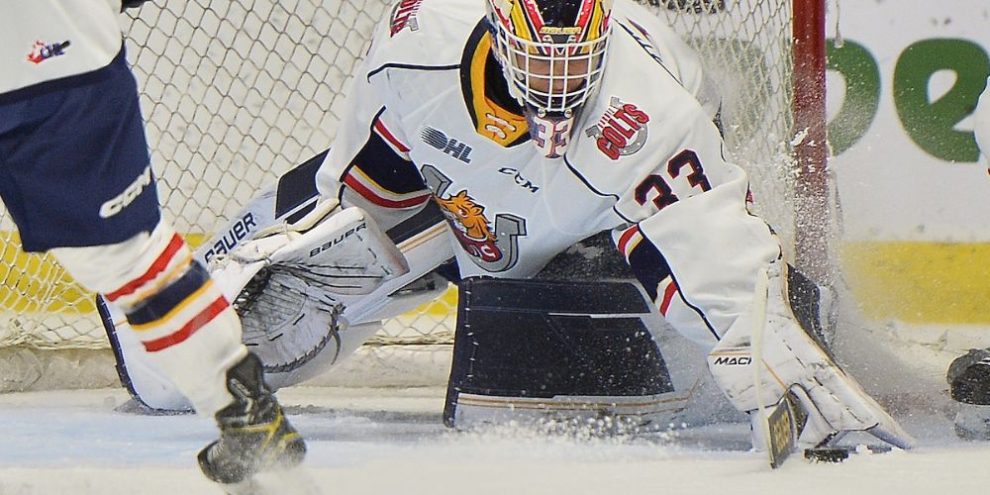 Barrie Colts - Guelph Storm