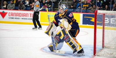 Barrie Colts - Guelph Storm