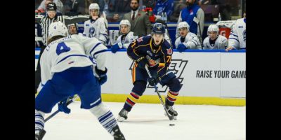 Barrie Colts / Steelheads