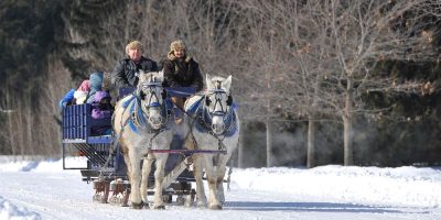 Family Day Barrie