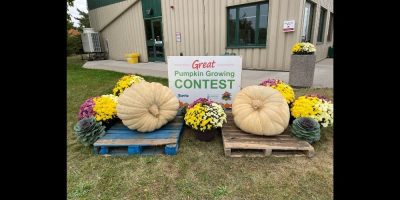 Barrie pumpkin-growing champions