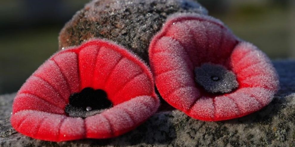 New poppy campaign initiatives seek to modernize the tradition of remembrance