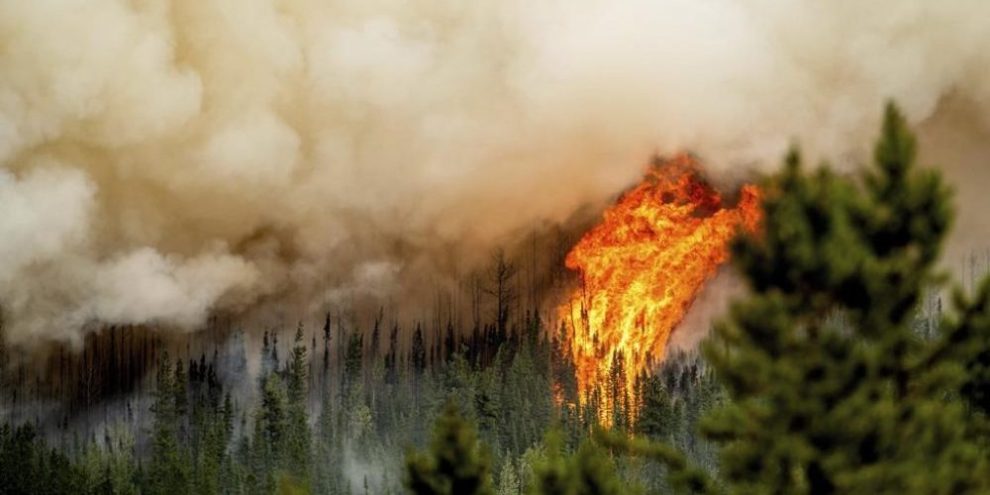 Canada sees 100,000 square kilometres burned this record−breaking wildfire season