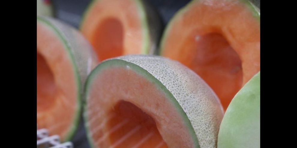 Cantaloupe salmonella - CP