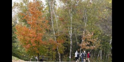 Fall colours - CP