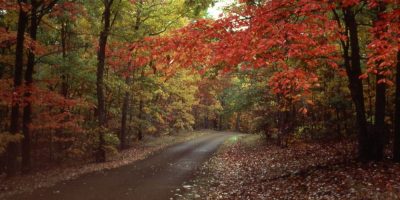 Fall arrives, but there is still warmth in the air