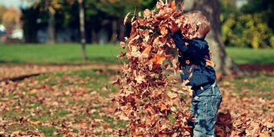 Forecast for Fall? Warmer than normal.