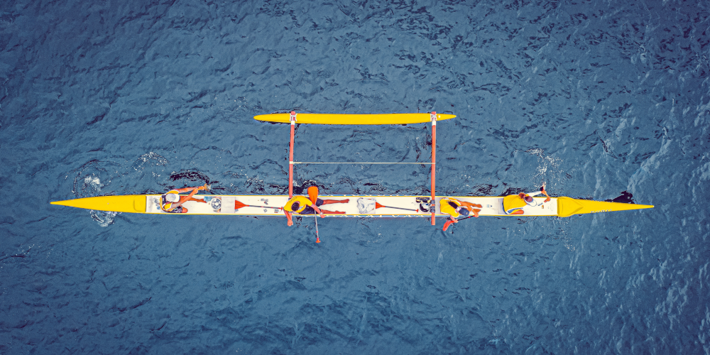 Try rowing for free with The Barrie Rowing Club! | Barrie 360