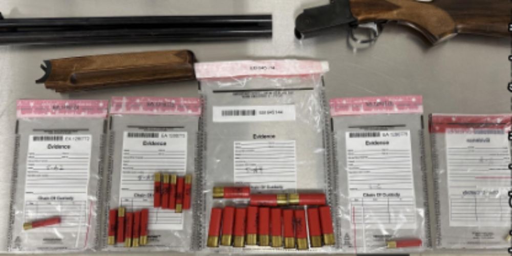 'High-risk' Vehicle Stop Results In Seizure Of Guns And Ammo By Barrie ...