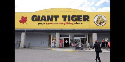 Giant Tiger - CP