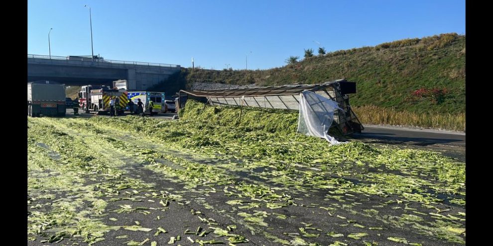 HWY 400 celery spill