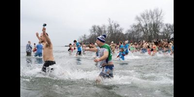 Polar bear plunge - CP