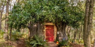 Airbnb offers Winnie the Pooh treehouse