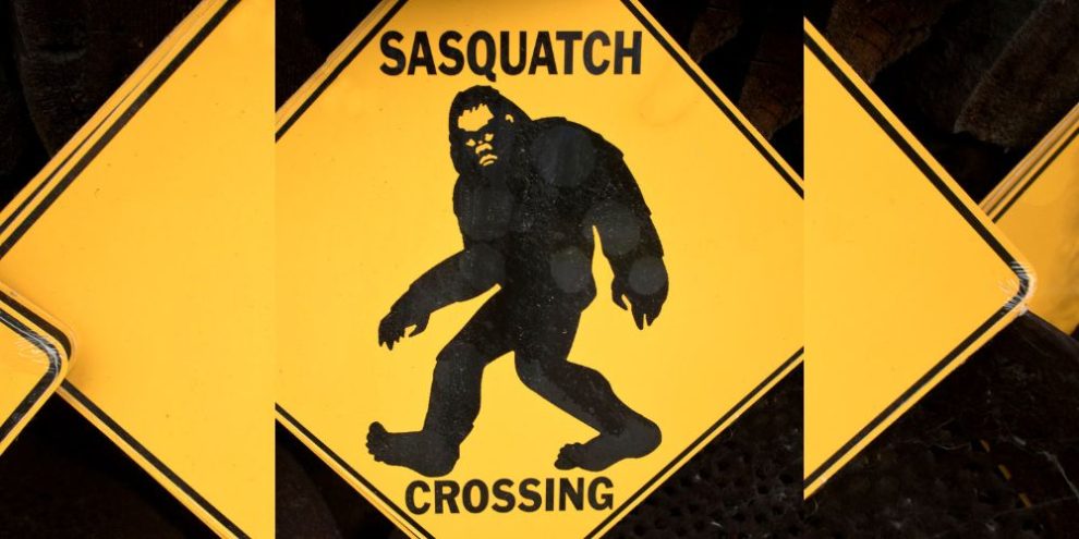 In search of Sasquatch (In the Barrie area?)