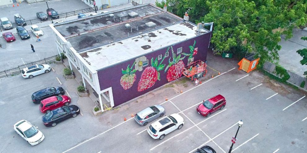 Strawberry Mural