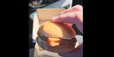 Filet O Fish via Neilybob via tiktok