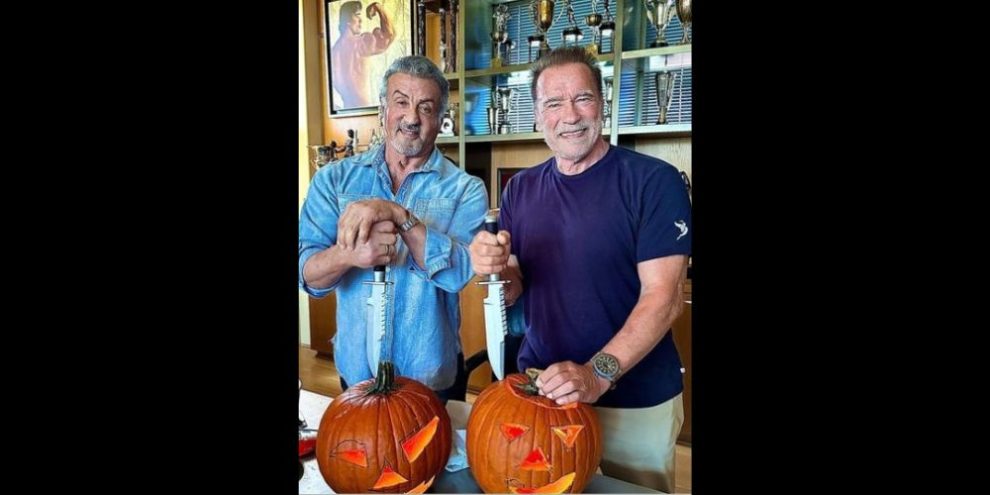Sly and Arnie pumpkins via Instagram