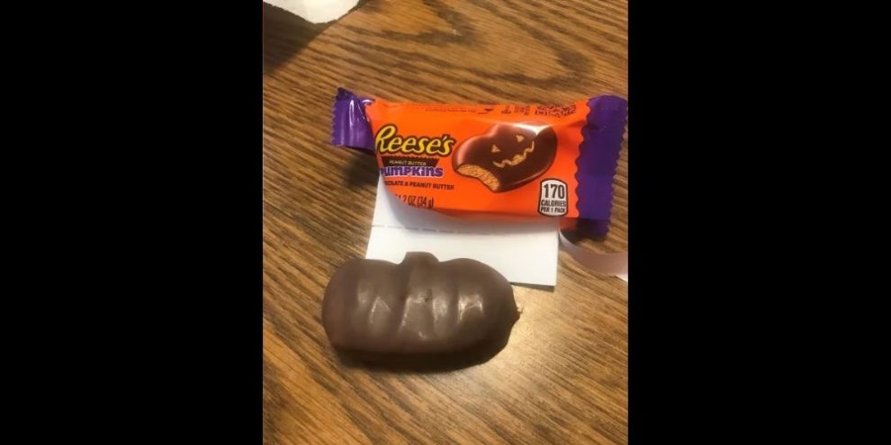 reeses pumpkin from US District Court for the Middle District of Florida