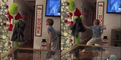 grinch vi tik tok from haylee_b14