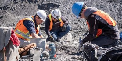 ’Komodo dragons on steroids’: Fossil of predatory water dweller recovered at Alberta mine