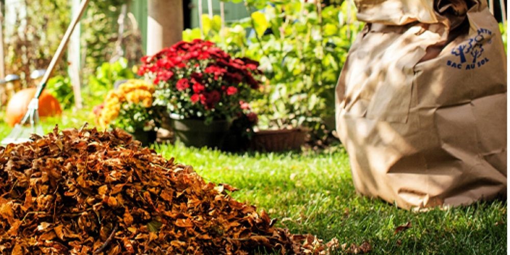 Yard waste to be collected Saturdays in November in response to ongoing ...