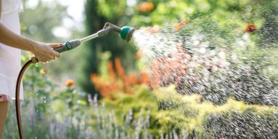 Watering garden with best garden hose