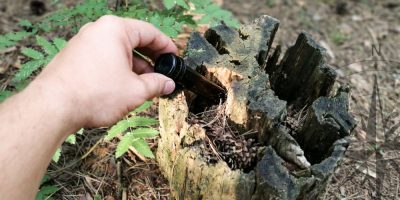 Geocaching in Barrie and Simcoe County
