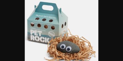 everything everywhere pet rock via ap24