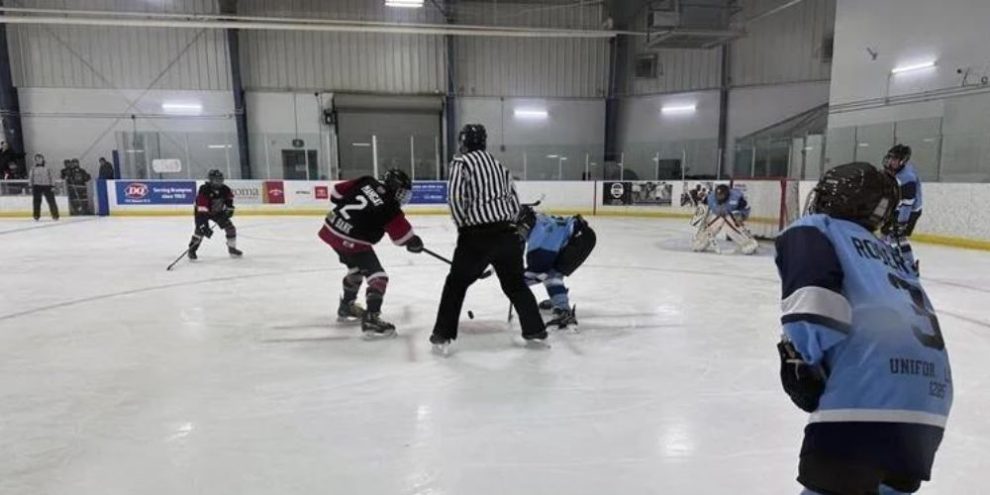 Fewer Canadian kids playing hockey