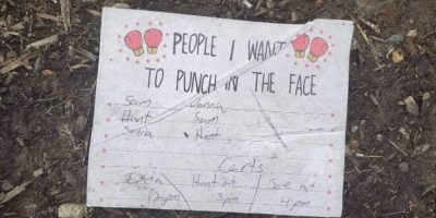 punch face note via reddit