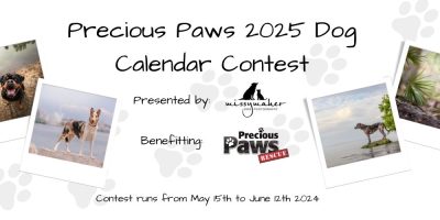 Precious Paws Dog Calendar Contest