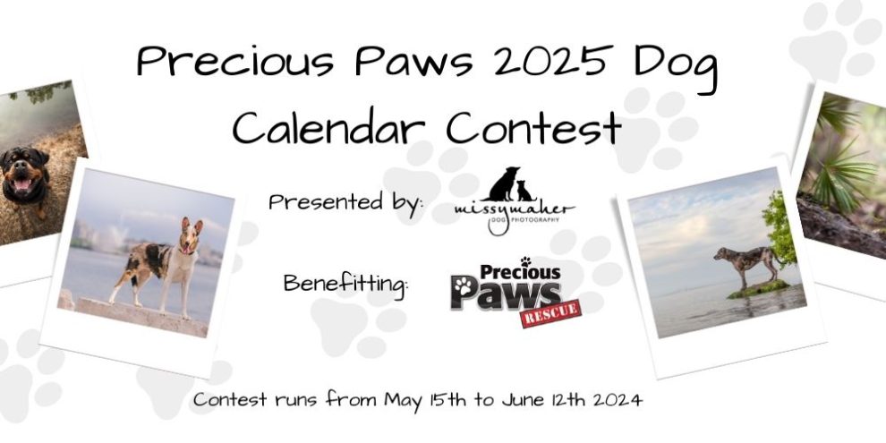 Precious Paws Dog Calendar Contest
