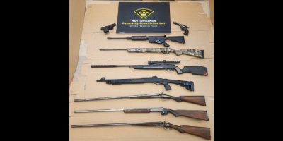 Guns seized in Alliston