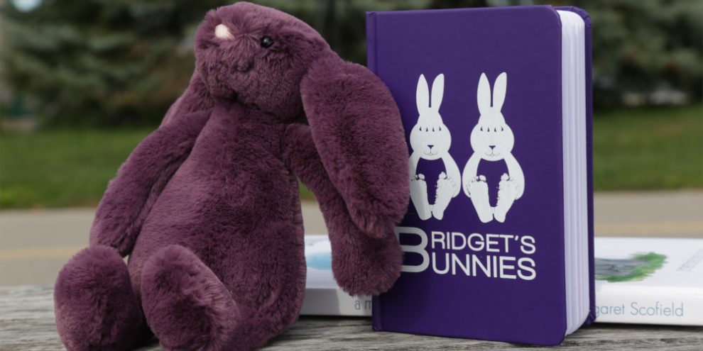 Bridgets Bunnies