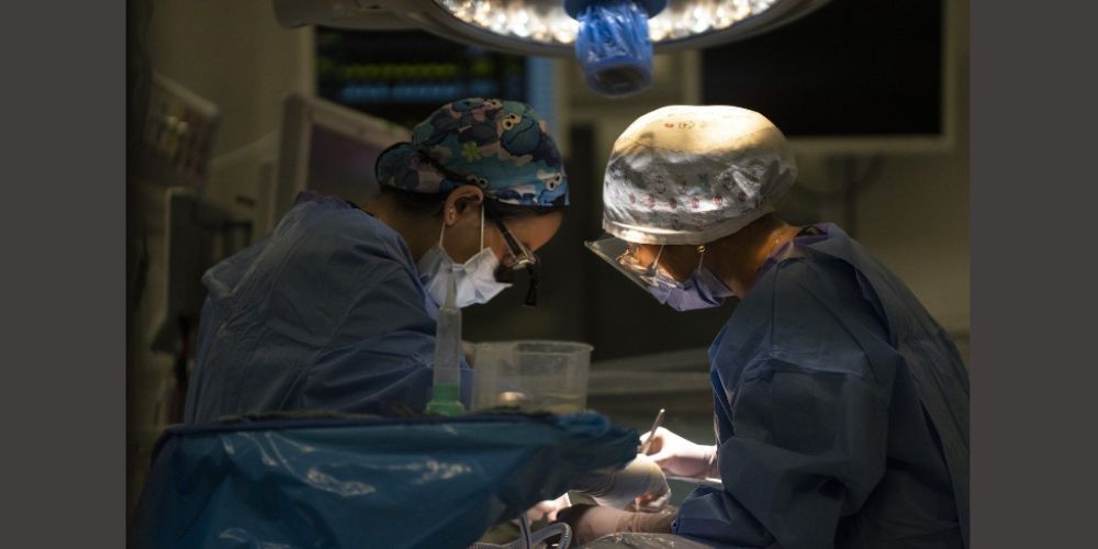 Delayed Doctors Doctors say surgical training, delayed by the pandemic, continues to be ...