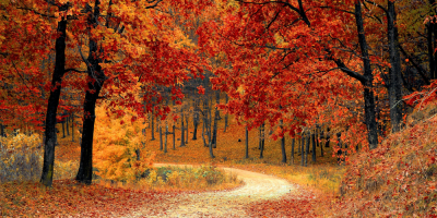 Summer-like humidity for part of the Thanksgiving long weekend