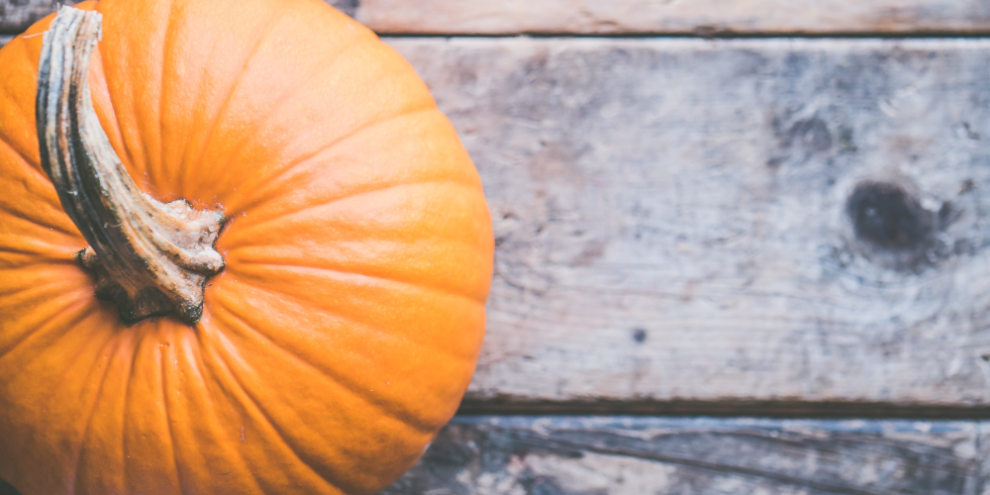 Pumpkin Catapult