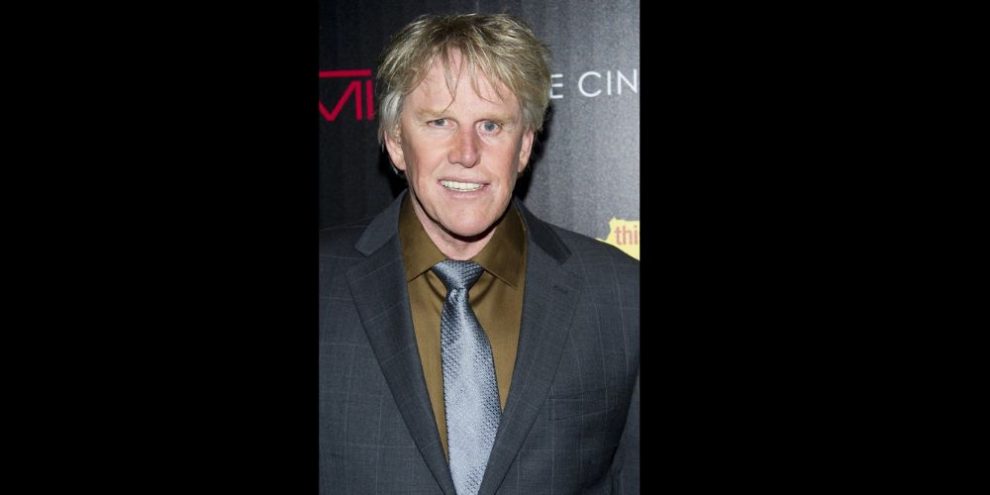 Gary Busey - (Photo by Charles Sykes/Invision/AP, File
