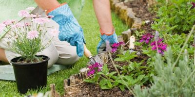 garden maintenance