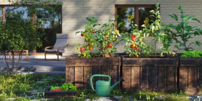 Raised garden beds