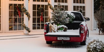 Real christmas tree in truck