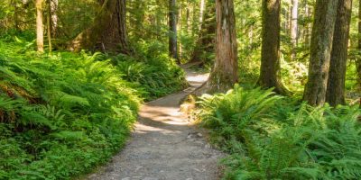 Simcoe County Hiking Trails