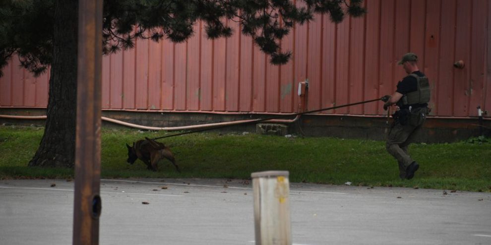 Driver flees on foot after collision in Barrie