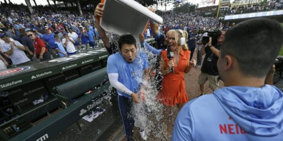 Cubs / Jays - AP