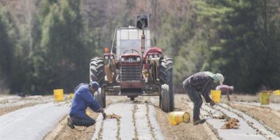 Foreign workers - CP