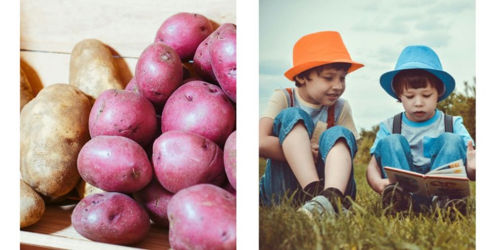 potatoes from pexels by Kindel Media/ kids by pexels/ Kindel Media