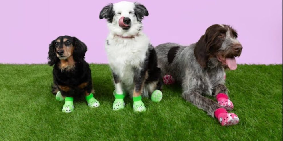 Crocs for dogs. via crocs.com